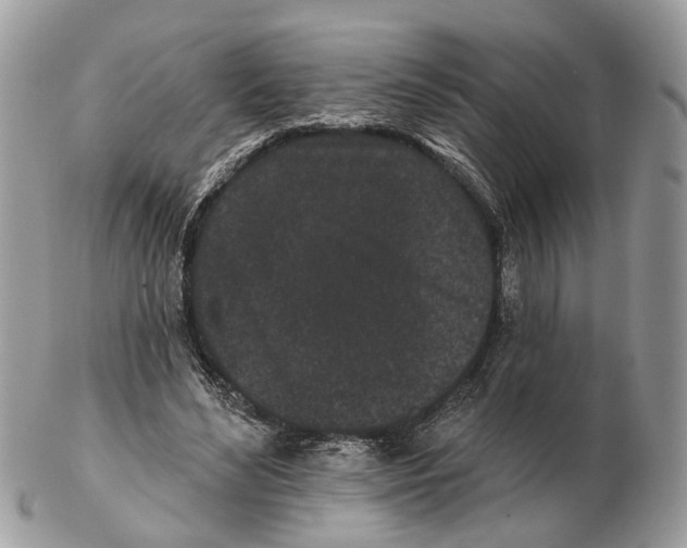 X0000102460492200809051313