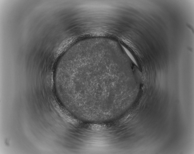 X0000102460494200809051313