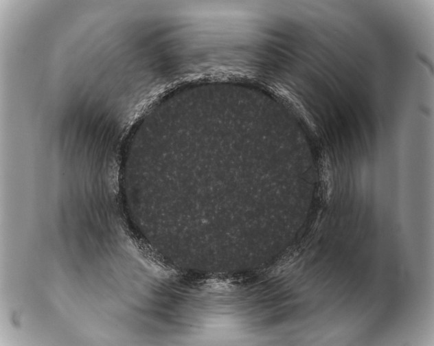 X0000102460496200809051313