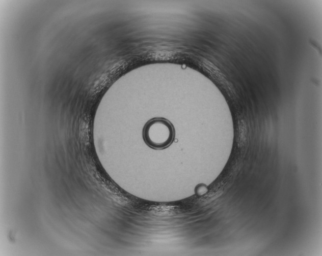 X0000102460497200809051313