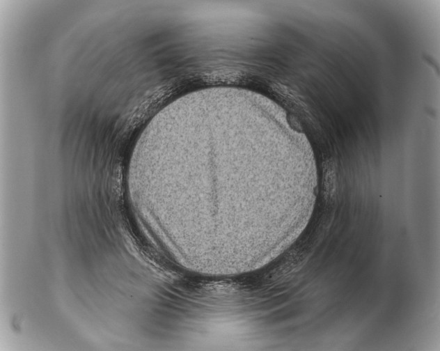X0000102460498200809051313
