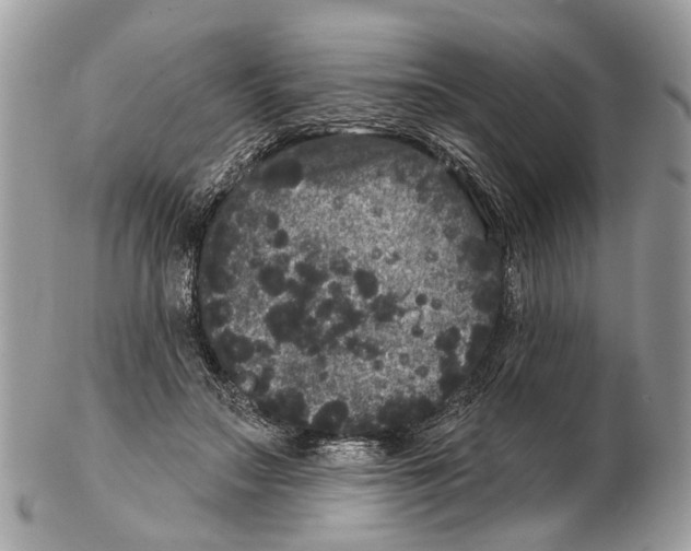 X0000102460499200809051313