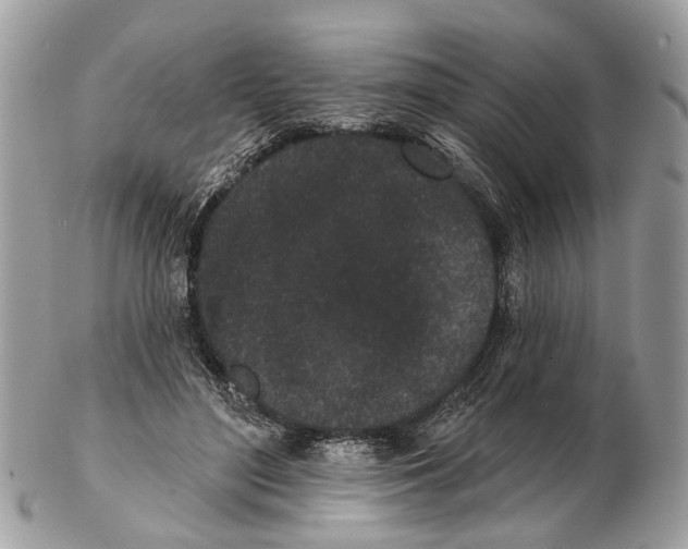X0000102460500200809051313