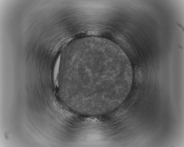 X0000102460502200809051312