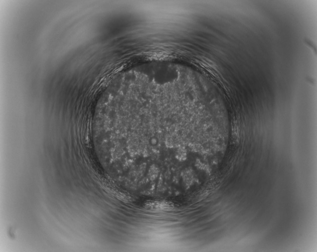 X0000102460503200809051312