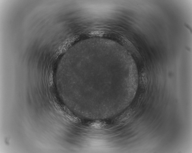 X0000102460504200809051312