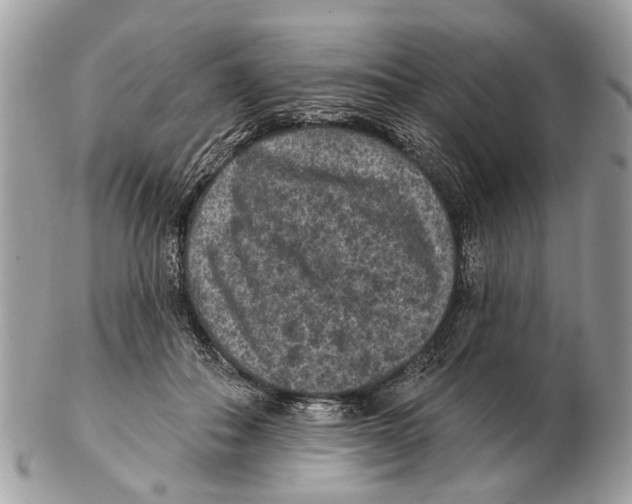 X0000102460506200809051312