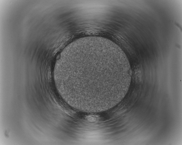 X0000102460508200809051312