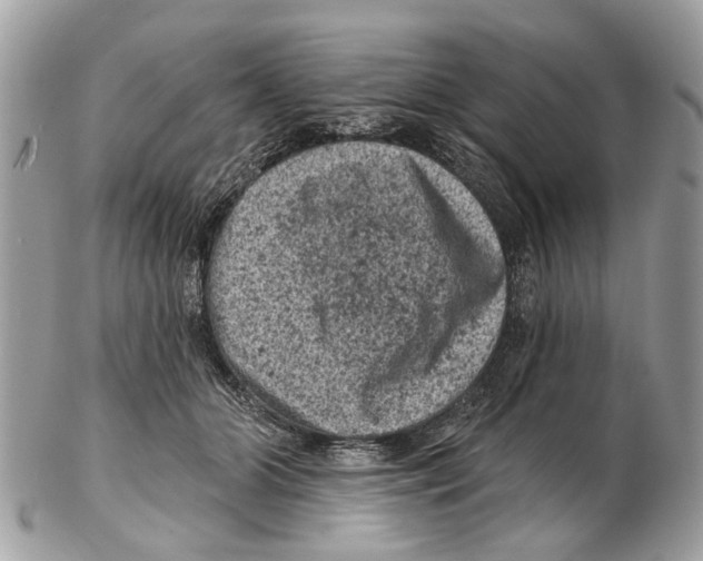 X0000102460510200809051312