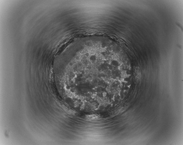 X0000102460511200809051312
