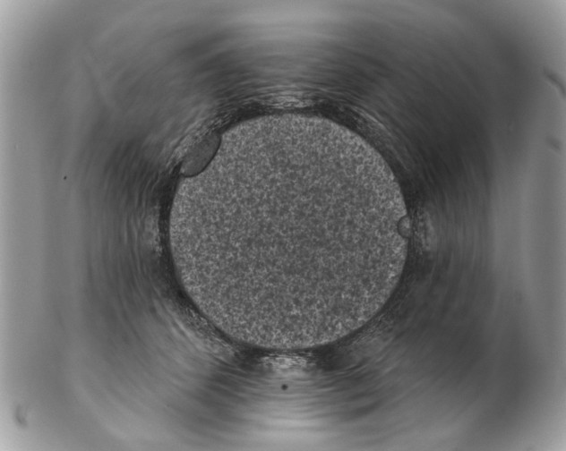 X0000102460512200809051312