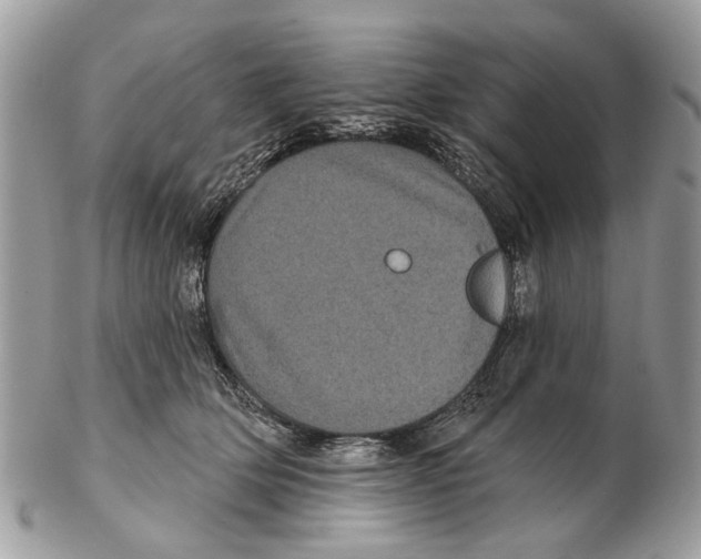 X0000102460514200809051312