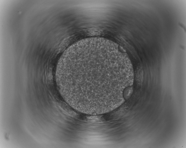 X0000102460516200809051312