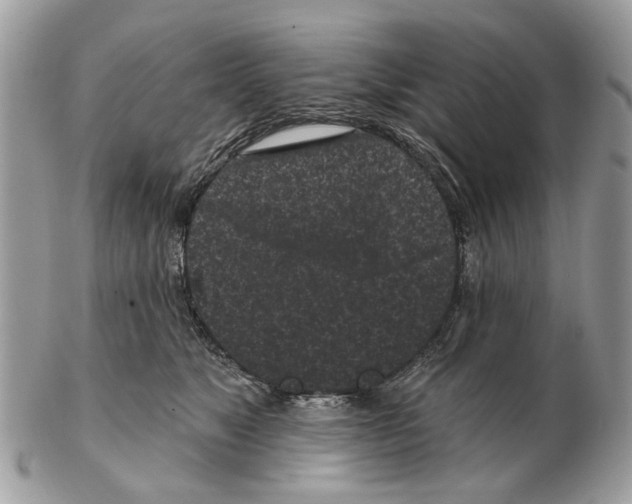 X0000102460517200809051312