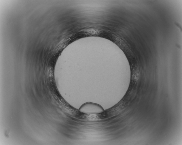 X0000102460518200809051312