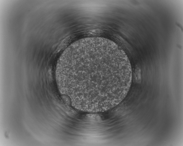 X0000102460520200809051312