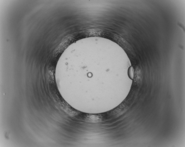X0000102460522200809051312