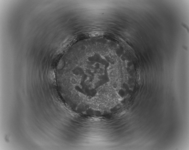 X0000102460523200809051312