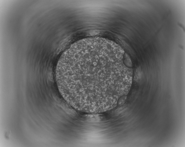 X0000102460524200809051312