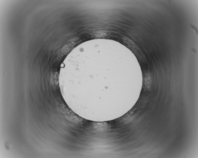 X0000102460525200809051312