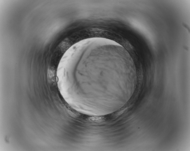 X0000102460526200809051312