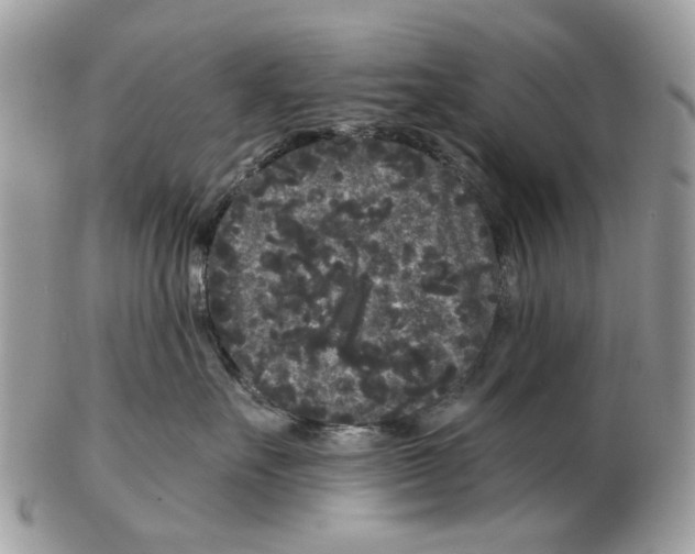 X0000102460527200809051312