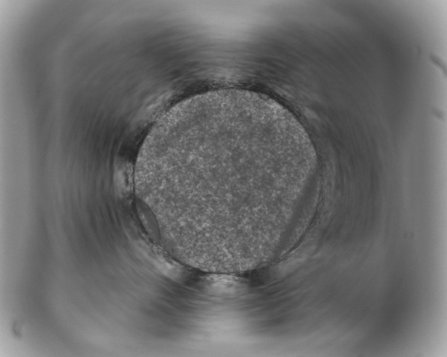 X0000102460528200809051312