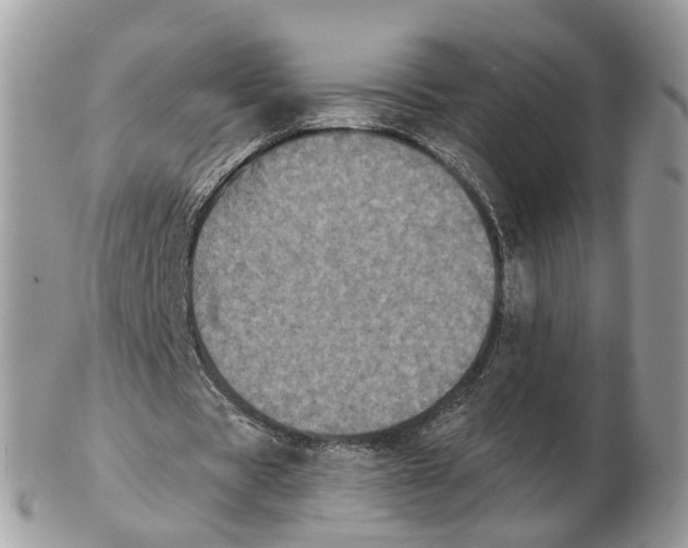 X0000102460529200809051311