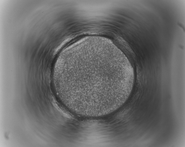 X0000102460530200809051311