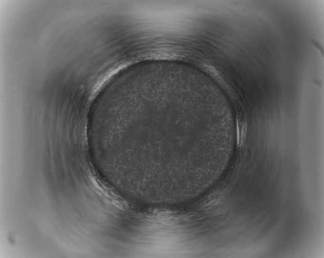 X0000102460531200809051311