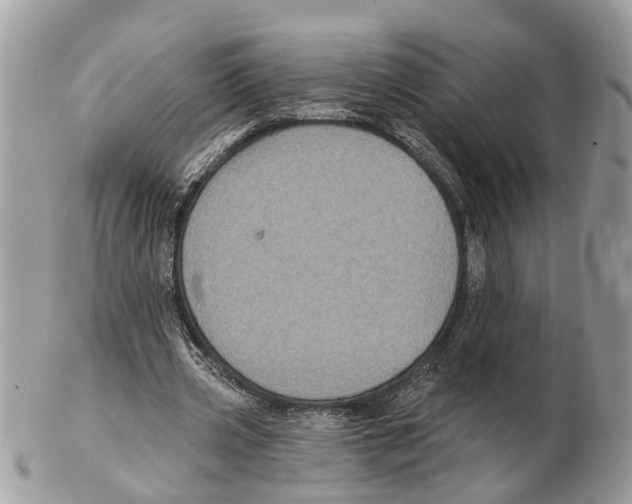 X0000102460533200809051312