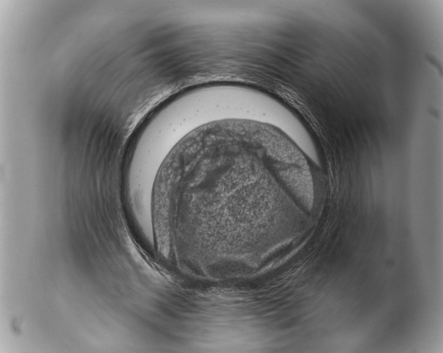 X0000102460534200809051312