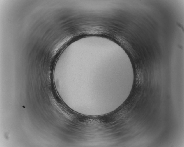 X0000102460535200809051312