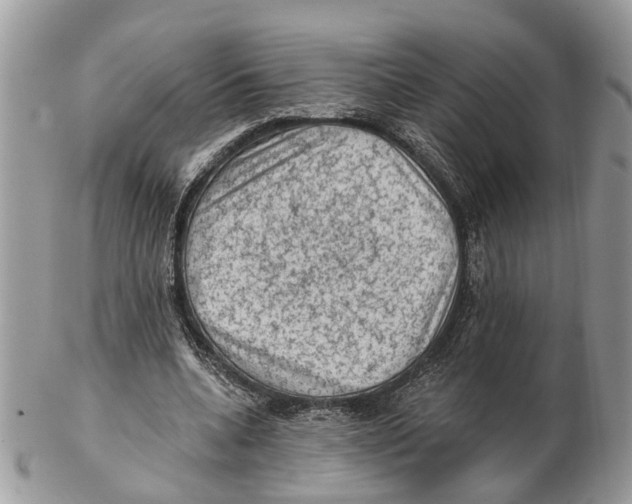 X0000102460536200809051312