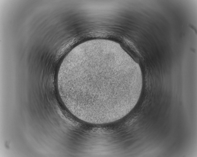 X0000102460538200809051312