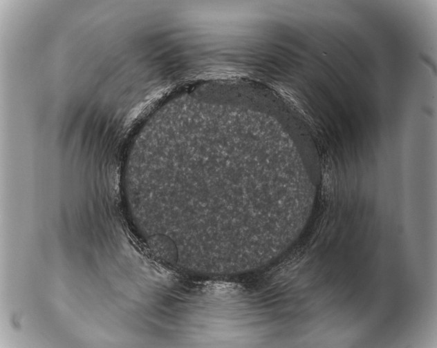 X0000102460539200809051312