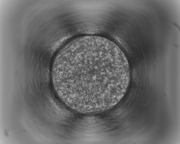 X0000102460540200809051312