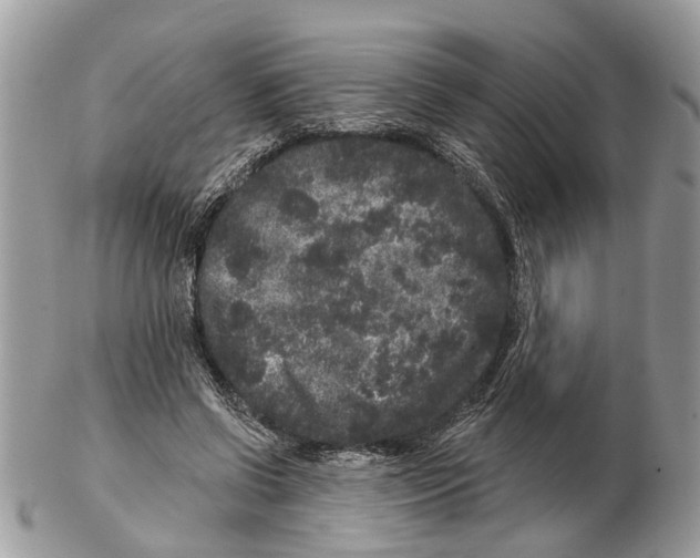 X0000102460542200809051312