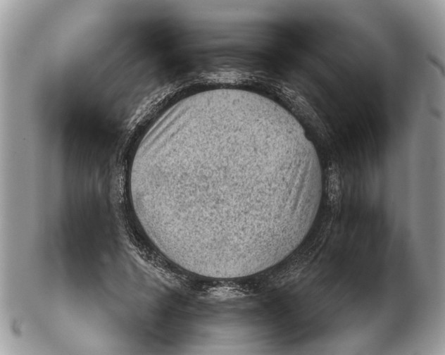 X0000102460544200809051312