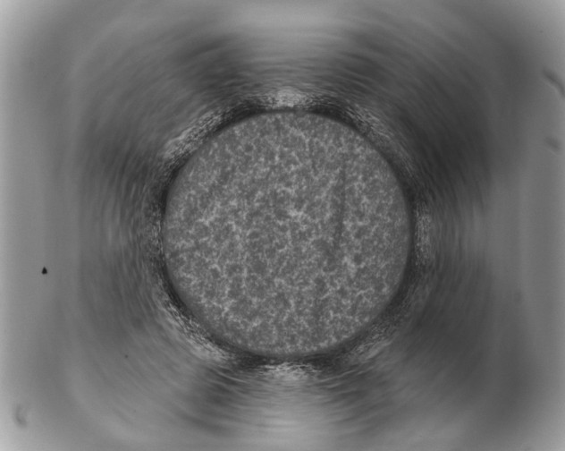 X0000102460545200809051312