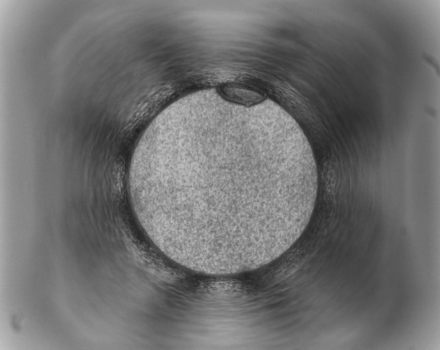 X0000102460546200809051312