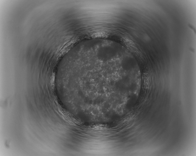 X0000102460550200809051312