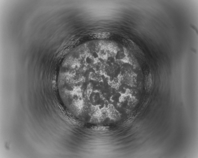 X0000102460553200809051312