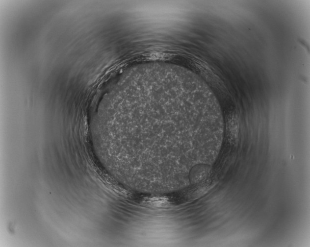 X0000102460554200809051312