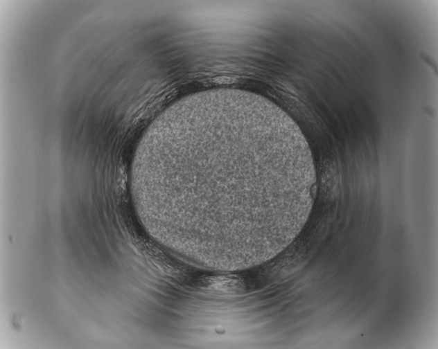 X0000102460555200809051312