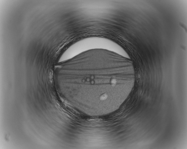 X0000102460556200809051312