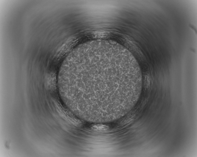 X0000102460557200809051312