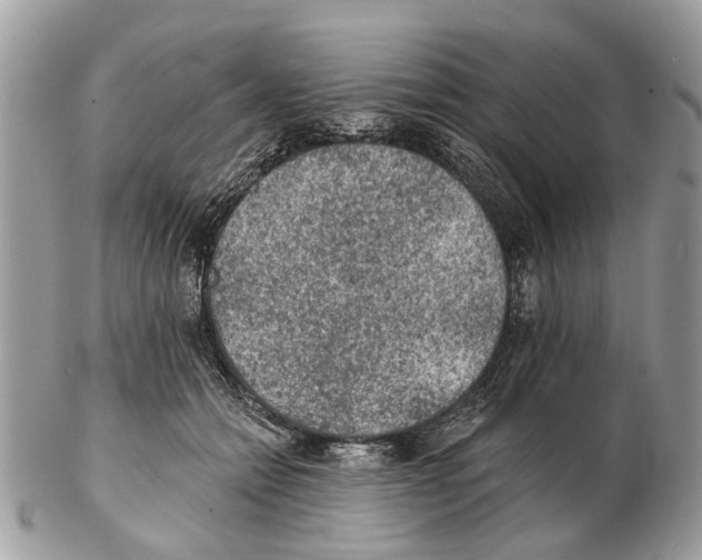 X0000102460558200809051312