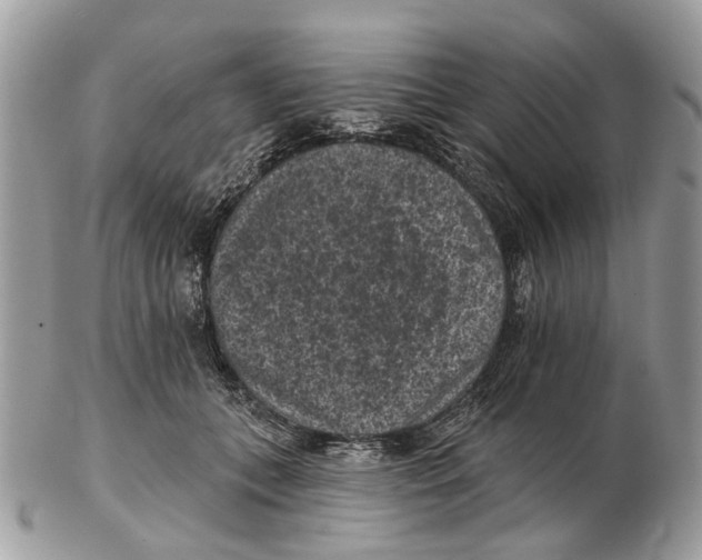 X0000102460559200809051312