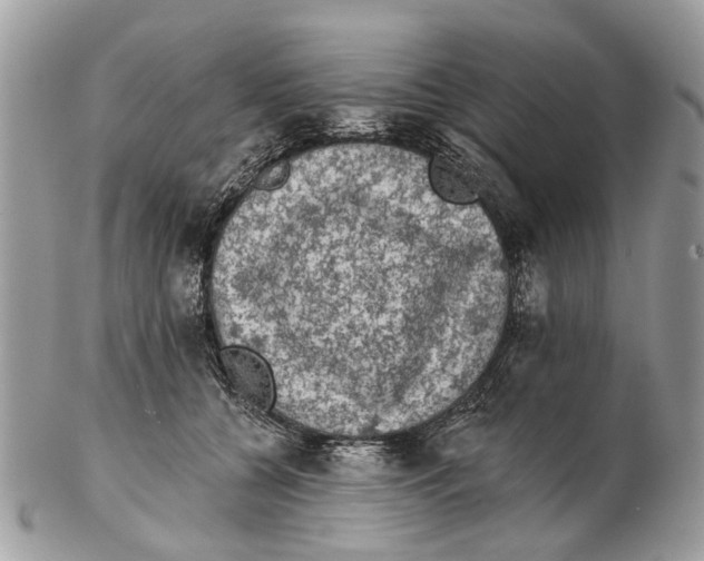 X0000102460560200809051312